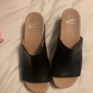 Dansko slides